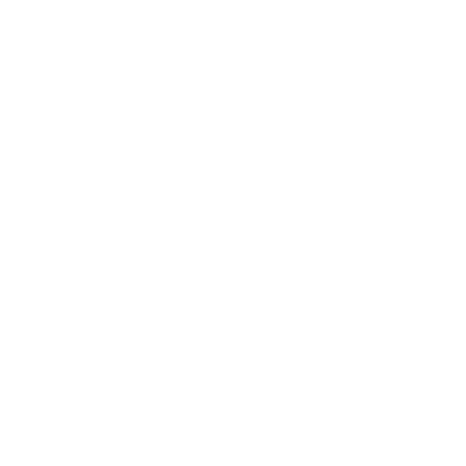 Félix Silvestrini Real Estate